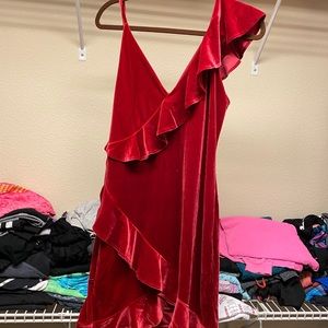 Express velvet dress